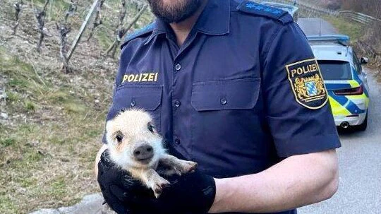  — © Foto: Polizei Unterfranken