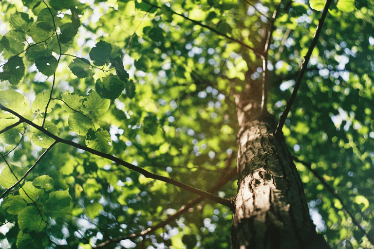  — © Foto: unsplash.com