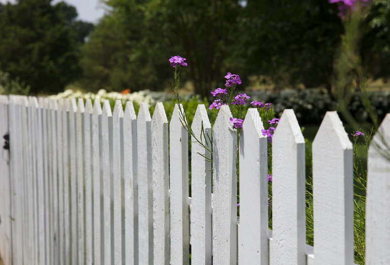  — © Foto: unsplash.com