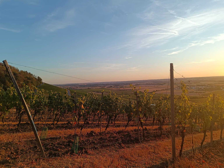 — © Foto: Funkhaus Würzburg