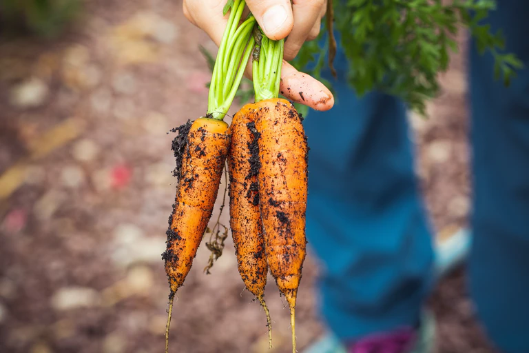— © Foto: unsplash.com