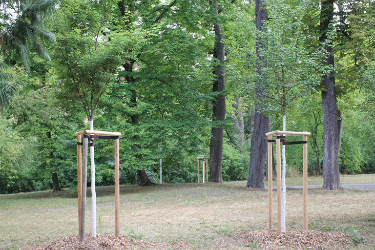  — © Foto: Stadt Würzburg