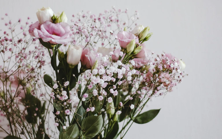  — © Bild: pure julia / unsplash.com